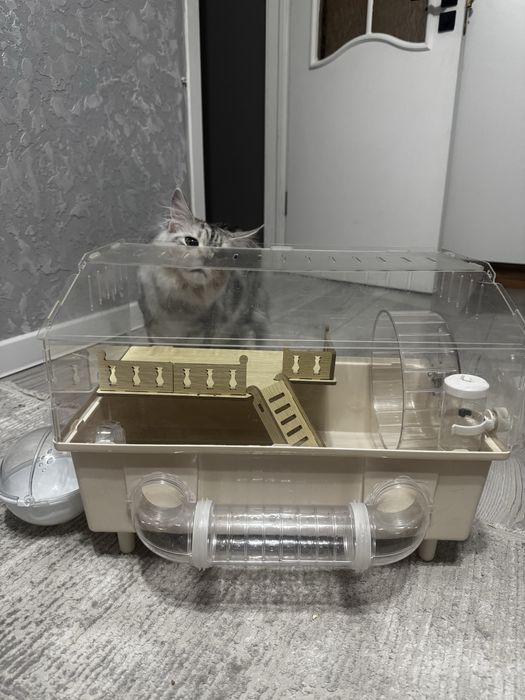 Клетка для хомяка