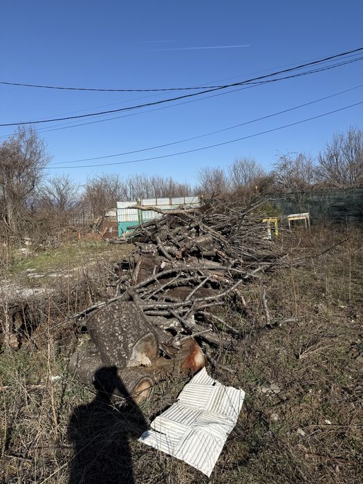 Дърва и клони за огрев 6-8 м2