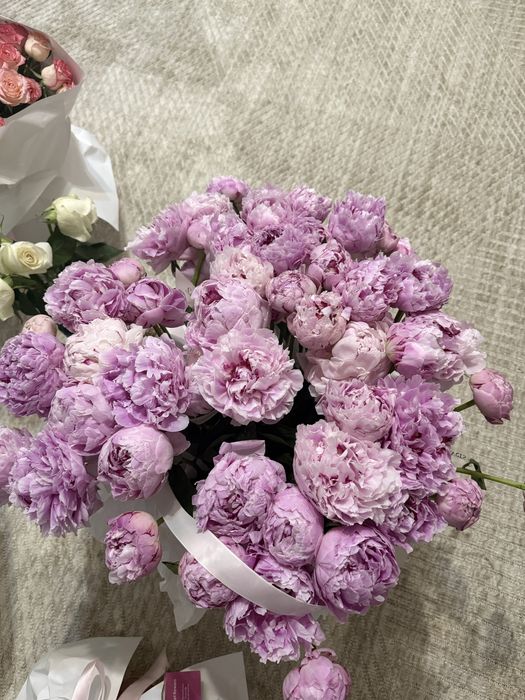 Продам пионы , 51 штук.