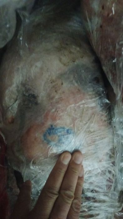 Ақбөкен еті, киік, сайгак