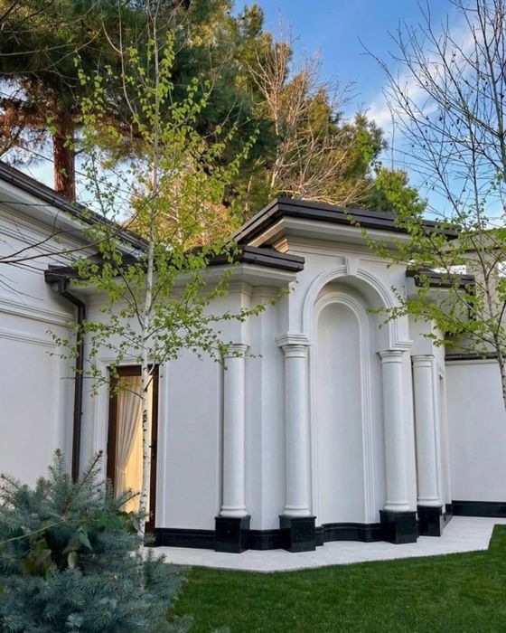 Дурмень Дом 24 соток