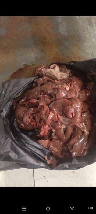 Yogʻ atxot jigar tovuq suyak toza maxsulotlari xamasi