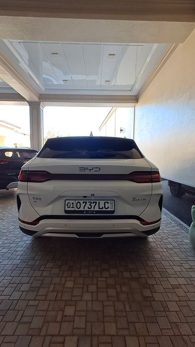 Byd champion 2025/25 fevral oq kraska top toza