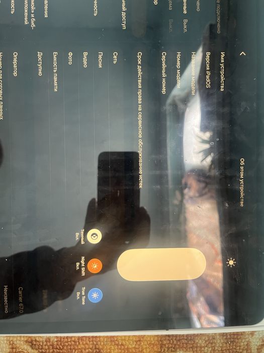 Ipad Pro 12.9 256 gb