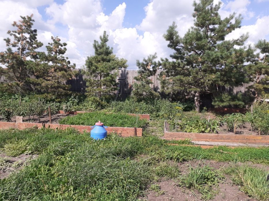 Обмен  Курорт Зеренда на Астану