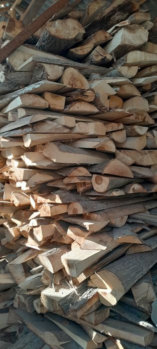 Otn quruq kota kota va  katolxam bor 200 kvadrat istedgon3 oy ishlagan