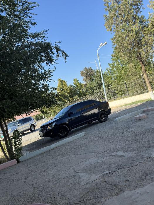 2024 ishlab chiqarilgan yangi navrot qilingan