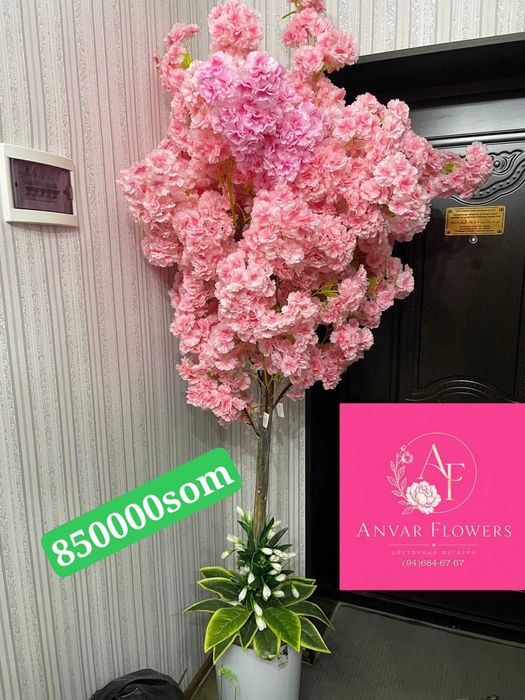 gullar darahtlar sotiladi sakura kala atrgul продается цвети и дерево