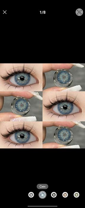 Целогодишни цветни Лещи