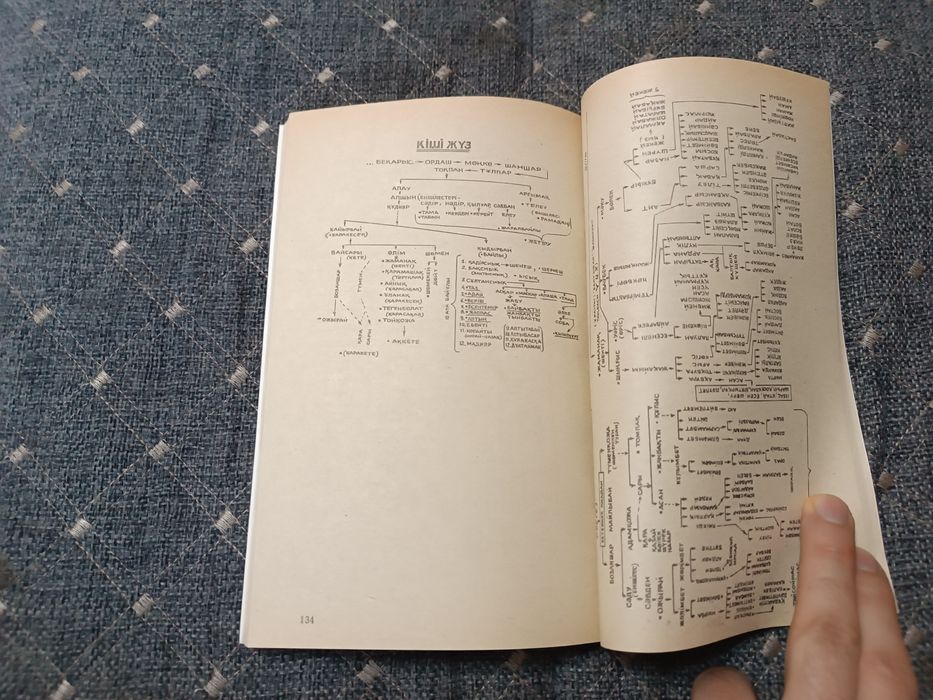 Казахское шежире