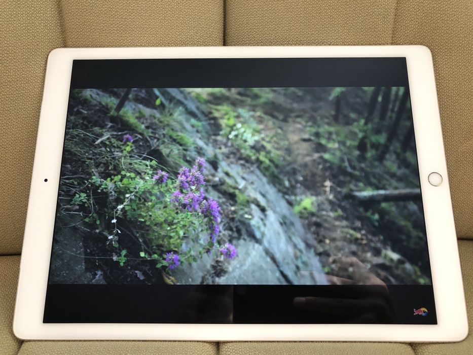 iPad Pro (12.9inch) ML3Q2LL/A 128GB