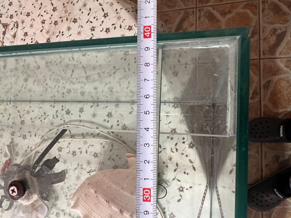 Аквариум для животных