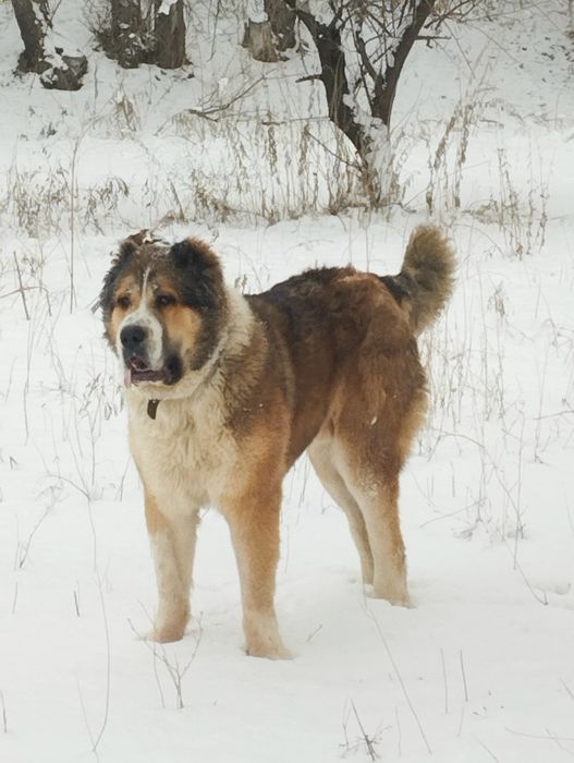 Открыт для вязок