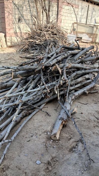 Дрова орех сухие выпилинные