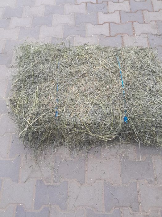 Vând baloți mici de fân