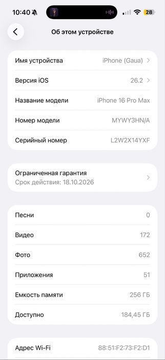 16 про макс  256