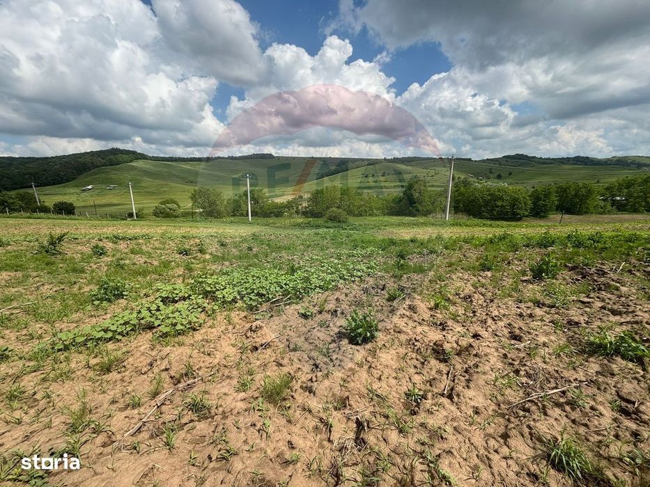 Teren 4,600mp com. Pancesti, jud Bacău