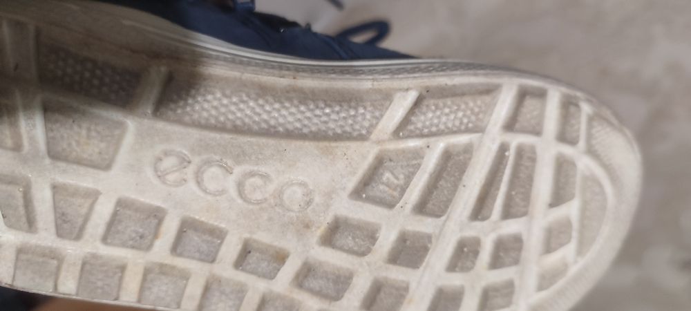 сапоги ecco     .