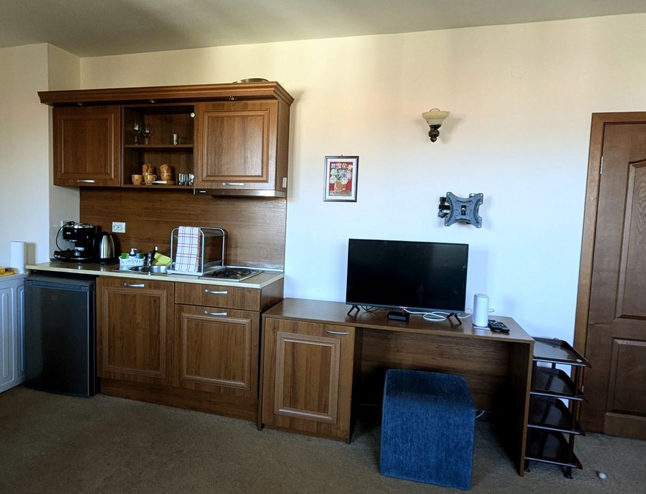 Просторен апартамент изглед към планината