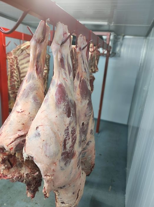 Мясо Ляжки Говядины,