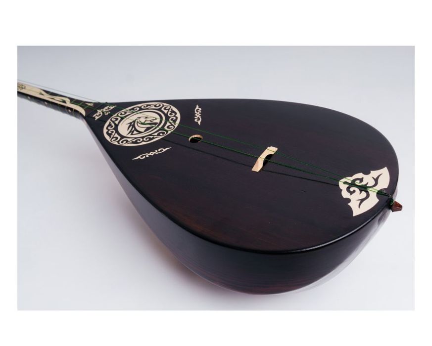 домбыра чехолымен