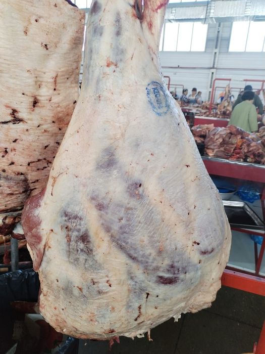 Продам откормленных бычков