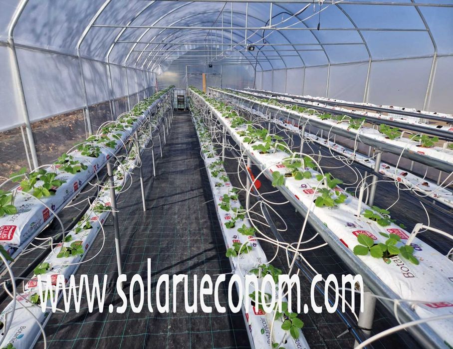 Solar(sera) de gradină cu structură metalică (teava)