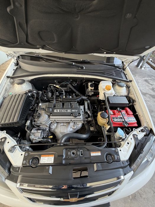 Jentra 3 pozisiya oq rang