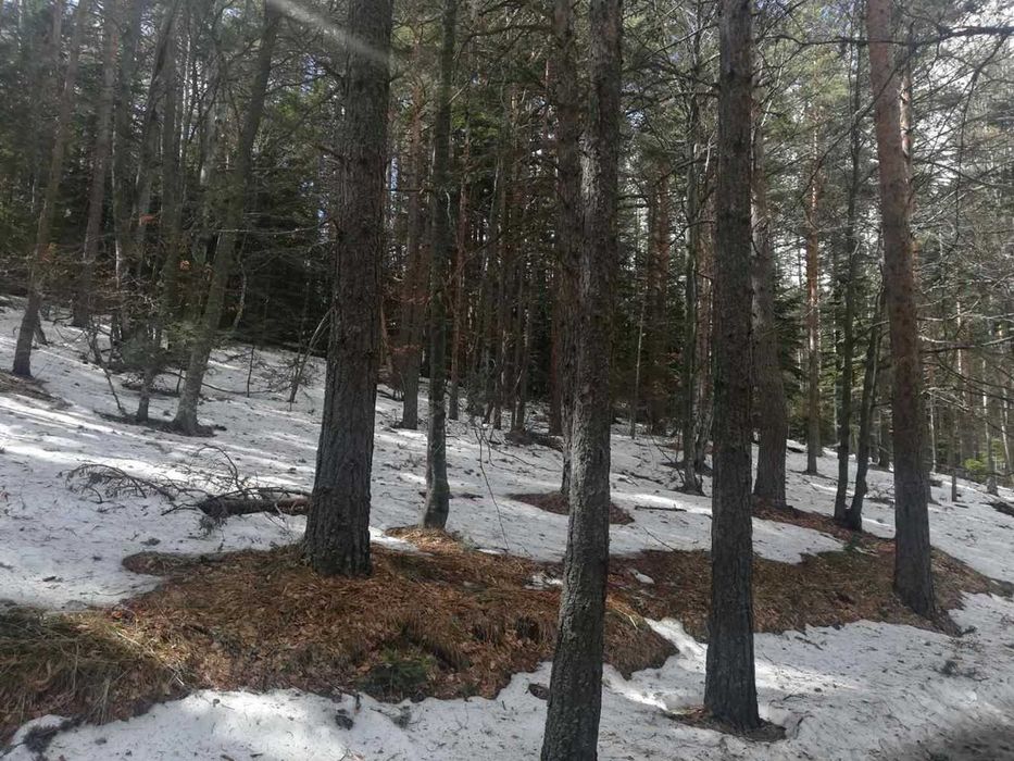 Парцел хижа Здравец до хижа Металик 100метра лице