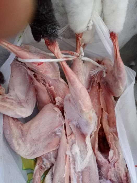 Мясо кролика Костанай