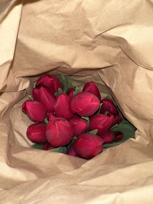 Тюльпаны для подарка | Астана