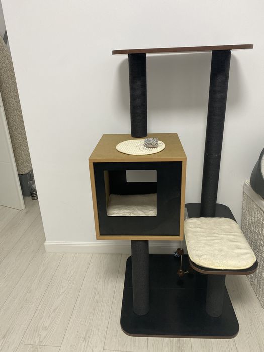 Ansamblu pisici negru