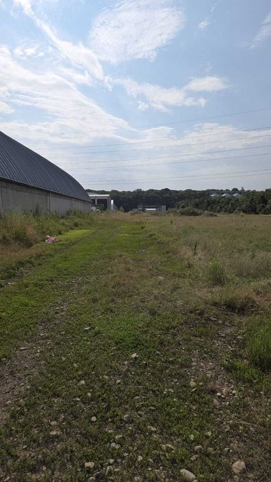 Vand teren intravilan industrial construibil sat Bâcu judetul Giurgiu