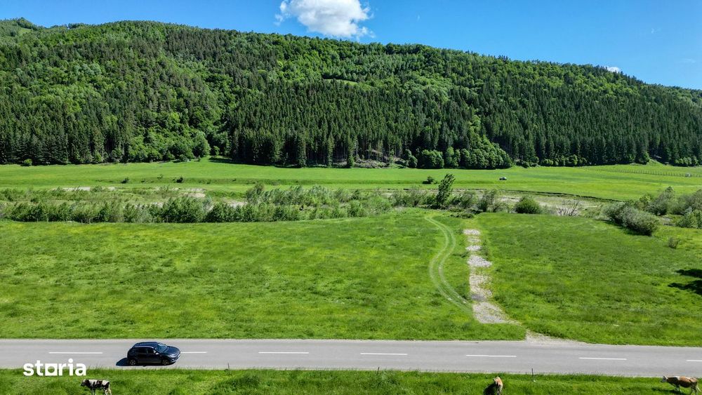 Teren intravilan In Zarnesti zona Plaiul Foii, asfalt si priveliste