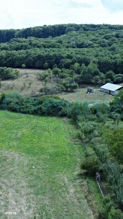 Teren intravilan de vanzare, Betfia,V4064,Gaminvest