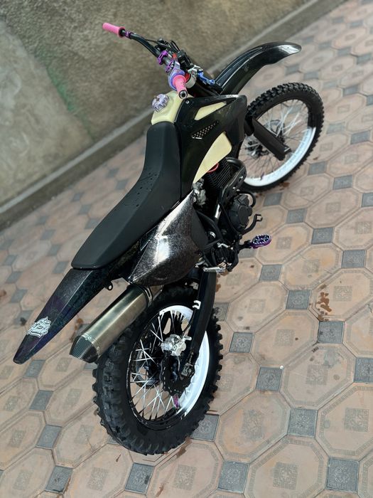 Progasi palma 300