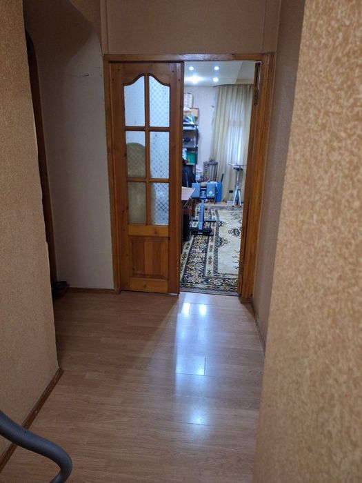 Чиланзар 1. Аллея. Высокопотлочка.