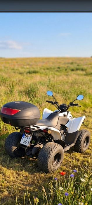 Vand 2 atv-url Aeon Cobra 220
