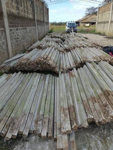 Spaleri de vie de vanzare