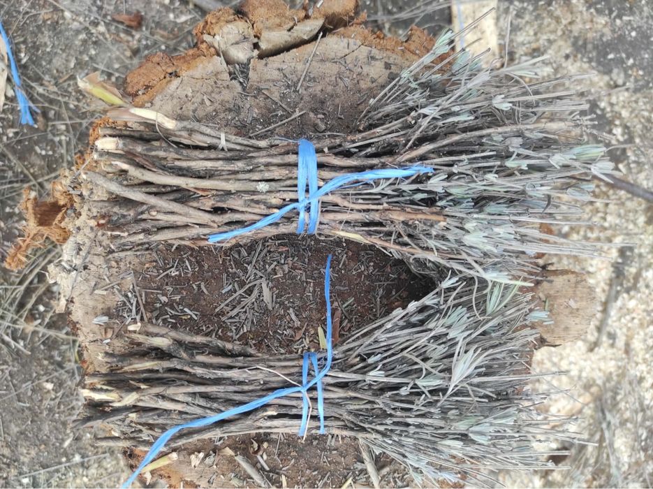 Резници лавандула