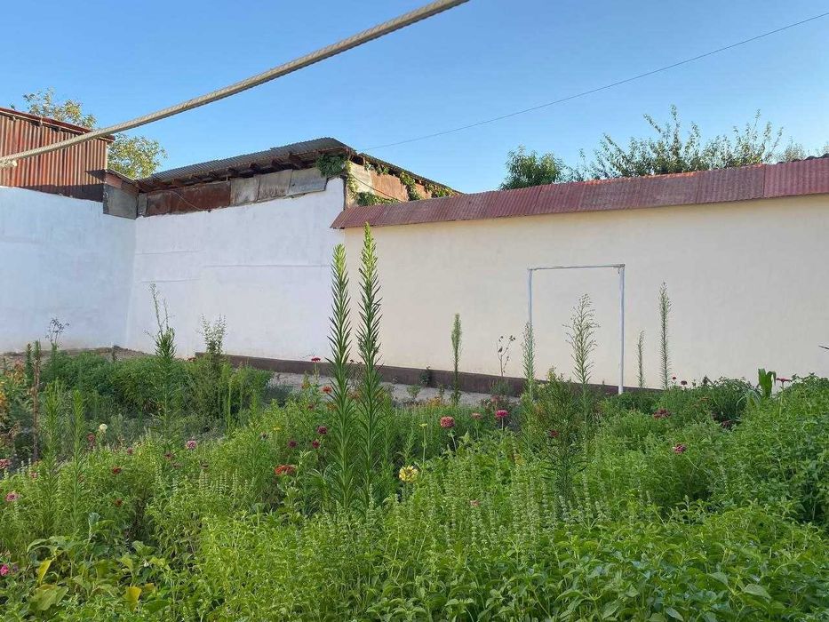 Олмазор тумани, Абубакир шоший кўчасида #участка сотилади