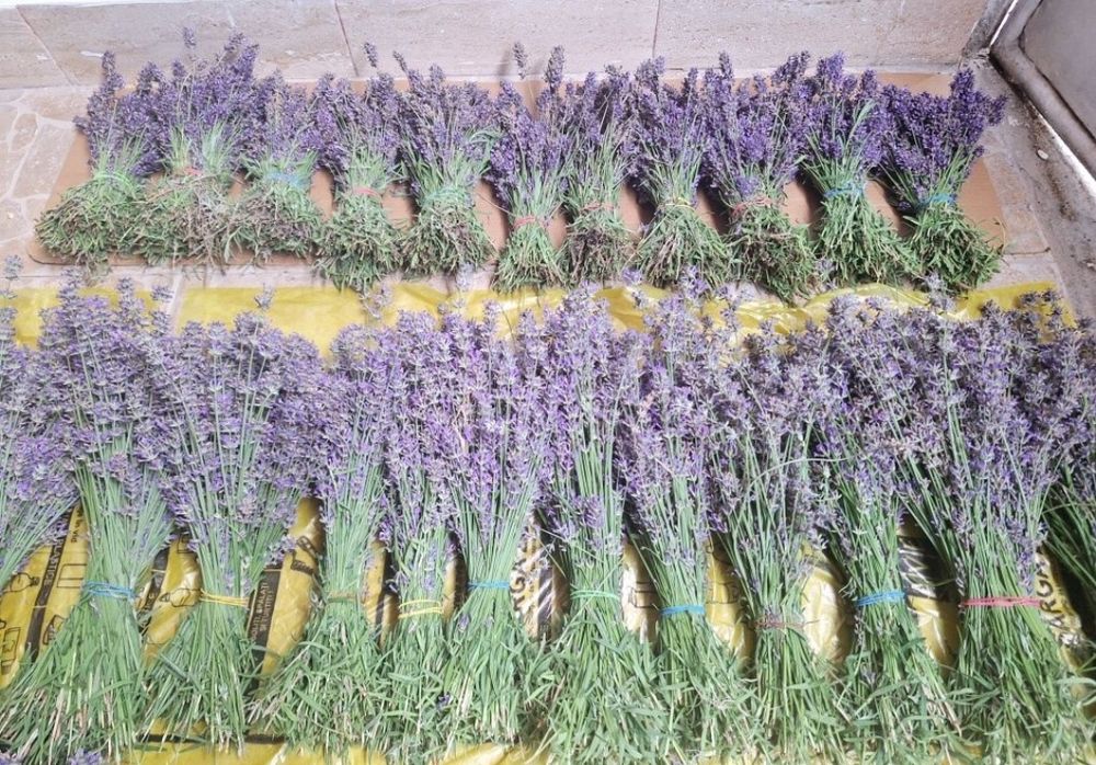 Saculeti cu lavanda