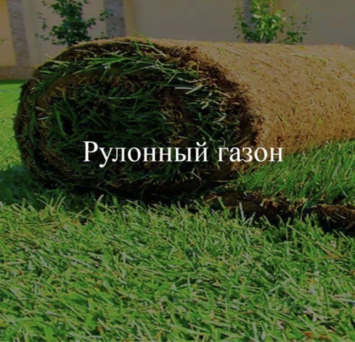 Газон екамиз сифат ва кафолат 100%