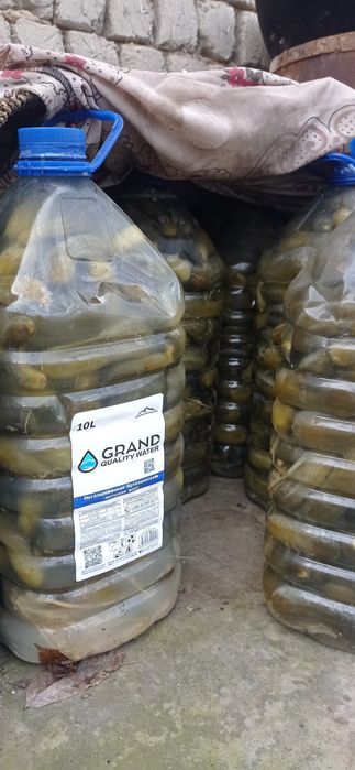 Солёные огурцы, бодринг салит сотилади 50 минг