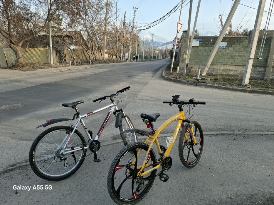 Велосепид жагдайы оте жаксы