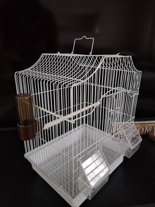 Colivie papagali / perusi / pasari