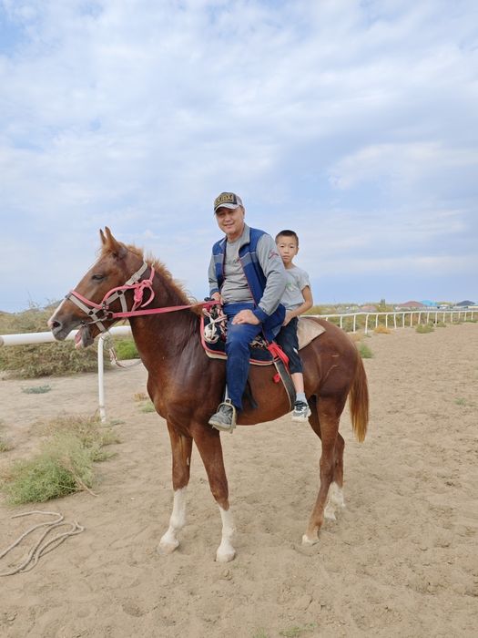 Жылқы.Бесқасқа сатылады