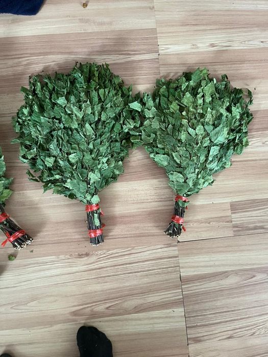 Веник берёза  плотные