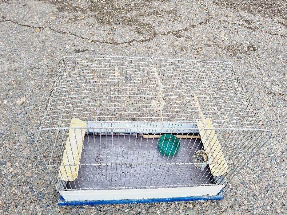 Qafas sotiladi holati yaxshi