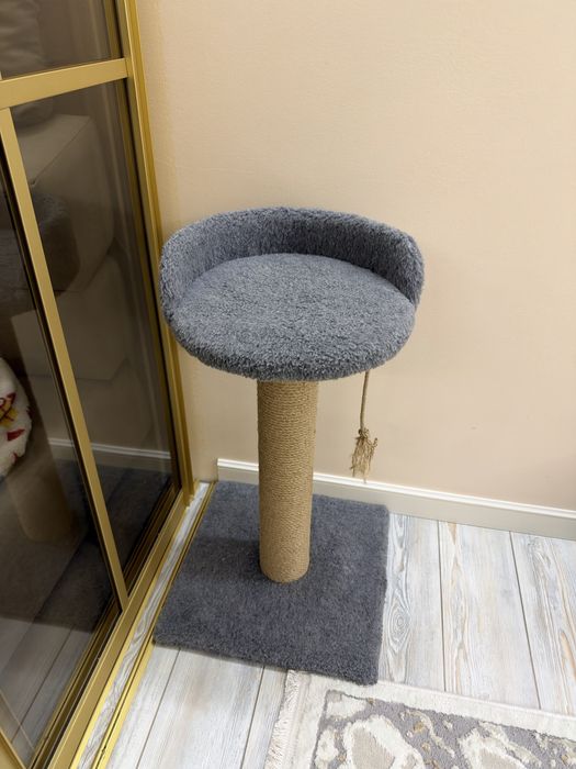Кот в добрые руки